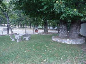 un parque con dos árboles y un banco en el césped en L’agrifoglio en Francavilla in Sinni