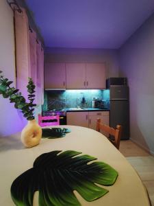 Η κουζίνα ή μικρή κουζίνα στο Kaminaki Seaview Apartments