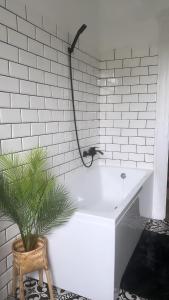 uma casa de banho com uma banheira branca e um vaso de plantas em Modern új lakás a belvárosban em Debrecen