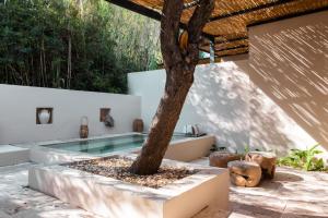 a swimming pool with a tree in a courtyard at GAIA Alaçatı BY THE SEA - Adult Only in Çeşme