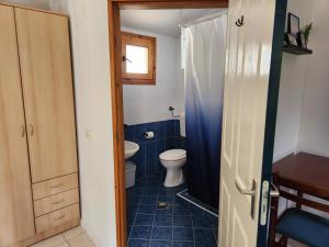 a bathroom with a toilet and a sink at Pension Lale in Peštani +34 photos