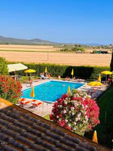 a swimming pool with chairs and umbrellas and flowers at Podere Casalpiano in Campiglia Marittima