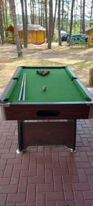 a green pool table with a ball on it at Ośrodek Wypoczynkowy Nad Brdą in Tuchola