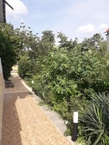 a walkway with bushes and trees on a building at LenNy 2 in Kranevo