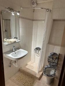 a bathroom with a shower with a toilet and a sink at Elena maisonette by the sea in Kamena Vourla
