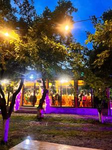 a restaurant with purple lights in a park at night at Casuta Pescarului 