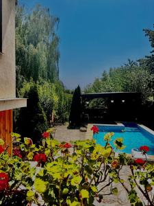 a garden with a swimming pool and red flowers at Casuta Pescarului 