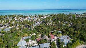 an aerial view of a resort with palm trees and the ocean at little pompeji boutique hotel - adults only in Jambiani