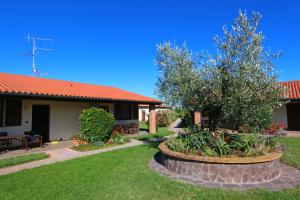 una casa con giardino e un albero nel cortile di Agriturismo Gli Etruschi a Populonia