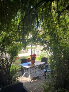 una mesa de picnic con una maceta de flores. en La casa di Mary en Castiglion Fiorentino