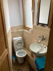 a bathroom with a toilet and a sink at Rustic Room next to beach in Constanţa