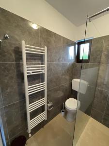 a bathroom with a toilet and a glass shower at Vila Hojda in Moisei