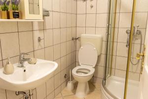 a bathroom with a toilet and a sink and a shower at DELUXE ROOMS BURE in Murter