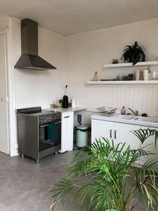 eine Küche mit einem Edelstahlherd Top-Backofen in der Unterkunft Apt plein de charme / centre ville / proche gare in Troyes