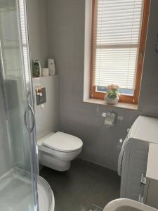 Ένα μπάνιο στο "Apartament pod Śnieżką" uroczy apartament z kominkiem