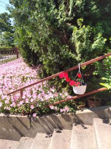 Afbeelding uit fotogalerij van 2 szemelyes studiò in Kanjiža