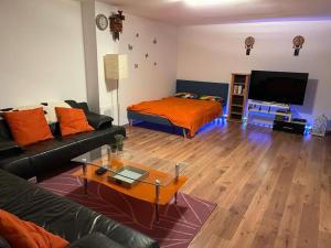 日內瓦的住宿－Spacious Apartment in luxurious Villa-Geneva，客厅配有沙发和桌子