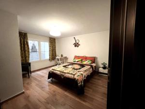 日內瓦的住宿－Spacious Apartment in luxurious Villa-Geneva，一间卧室设有一张床和一个窗口