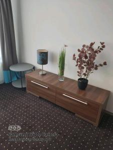Televízia a/alebo spoločenská miestnosť v ubytovaní Plage apartman