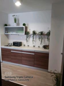 Kuchyňa alebo kuchynka v ubytovaní Plage apartman