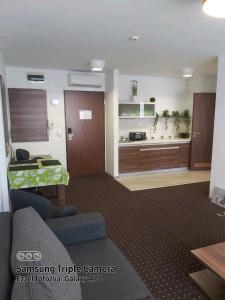 Kuchyňa alebo kuchynka v ubytovaní Plage apartman
