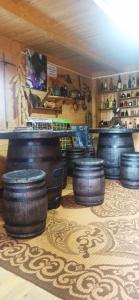 a room with a bunch of wooden barrels on the floor at Velemun brvnara in Plav