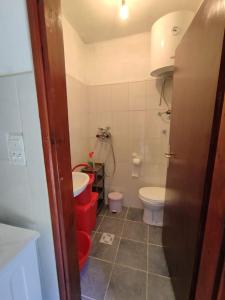 małą łazienkę z toaletą i umywalką w obiekcie Nature Escape Montenegro w Kotorze