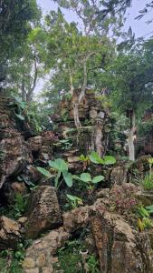 Landskap semula jadi dekat dengan rumah tamu ini