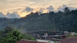 Landskap semula jadi dekat dengan rumah tamu ini