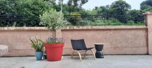 A garden outside Primero Seixo antiguo