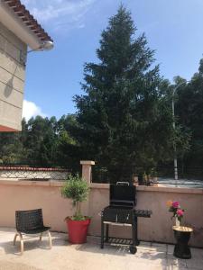A garden outside Primero Seixo antiguo
