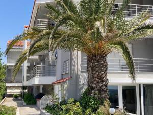 a palm tree in front of a building at Villa Ulyana Toroni - Front seaview, First line, Fireplace in Toroni