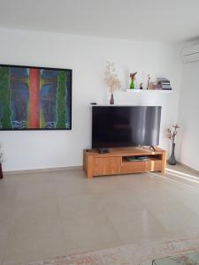 TV a/nebo společenská místnost v ubytování Villa Providenca Volme Hrvatska