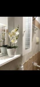 twee witte bloemen op een plank in een badkamer bij Cusumano house in Trappeto