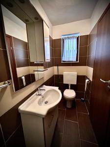 W łazience znajduje się umywalka, toaleta i lustro. w obiekcie Apartments Mestrovic, Klimno, Soline bay, island Krk w mieście Klimno