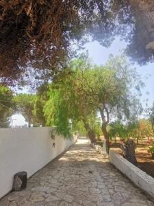 a tree lined path with a white wall and trees at SeccaGrande Holiday Home in Seccagrande