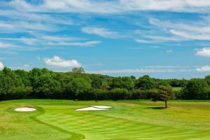 un campo de golf verde con 2 putting green y un árbol en Forest of Arden Hotel and Country Club en Bickenhill