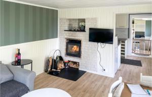Il comprend un salon avec une cheminée et une télévision. dans l'établissement Gorgeous Home In Gyttorp With Wifi, à Gyttorp