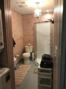 a bathroom with a shower and a toilet in it at Springhouse 1803 in Hagerstown