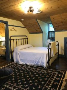 1 dormitorio con 1 cama en una habitación con techo en Springhouse 1803 en Hagerstown