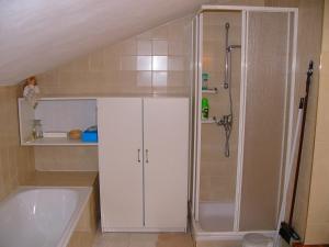 een badkamer met een douche, een bad en een wastafel bij Apartmán Jeseník Česká Ves in Česká Ves