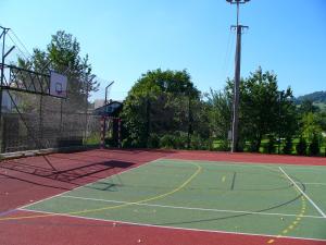 a tennis court with a basketball hoop on it at Apartmán Jeseník Česká Ves in Česká Ves