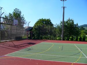 een tennisbaan met een basketbalring erop bij Apartmán Jeseník Česká Ves in Česká Ves