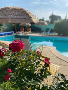 una piscina con panchina e fiori e ombrellone di Villa de charme Mas de la Cigaline & chambres d'hôtes chez Dany 83 a Garéoult