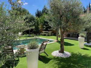 a garden with a chair and a tree and a pool at La Maison 1440 in L'Isle-sur-la-Sorgue