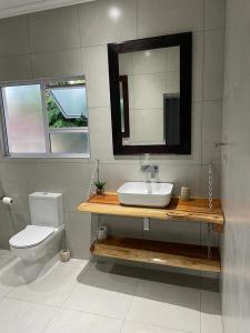 een badkamer met een wastafel, een toilet en een spiegel bij 30 on Tidewaters in East London