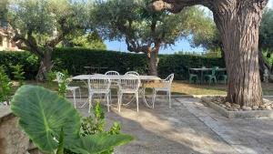 Ein Garten an der Unterkunft Apartments in Villa Isabel