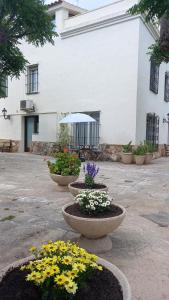 Ein Garten an der Unterkunft Apartments in Villa Isabel