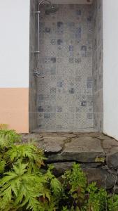a shower in the corner of a room with plants at Casa Luciana in Ponta do Pargo