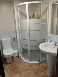 La salle de bains est pourvue d'une douche, de toilettes et d'un lavabo. dans l'établissement Apartamento MG, à Huelva